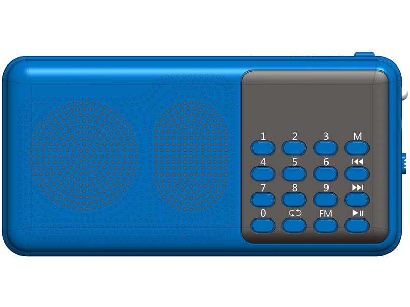 R201